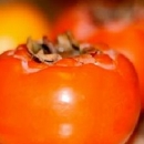 吃鸡蛋后不能吃五种食物 吃柿子会食物中毒