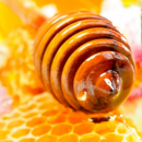 盘点喝蜂蜜的禁忌 三种人不适合喝蜂蜜