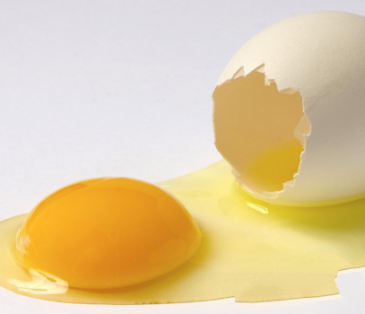 多吃鸡蛋可增强老人记忆力