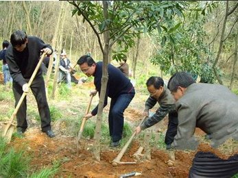 清明节千万别做这些事 扫墓前须禁食