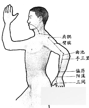 经络<a href=http://www.duomehao.com target=_blank class=infotextkey>养生</a> 详解经络<a href=http://www.duomehao.com target=_blank class=infotextkey>养生</a>的十四个项目