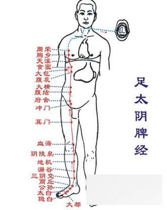 经络<a href=http://www.duomehao.com target=_blank class=infotextkey>养生</a> 详解经络<a href=http://www.duomehao.com target=_blank class=infotextkey>养生</a>的十四个项目