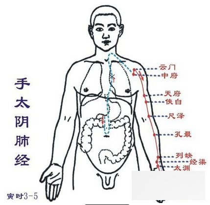 春季经络<a href=http://www.duomehao.com target=_blank class=infotextkey>养生</a>排毒术 敲打胃经让脸色白里透红