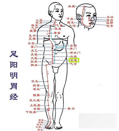 中医支招 经络减肥的操作方法