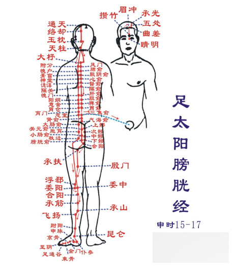 十四经络的保健功效 大肠经改善调理便秘