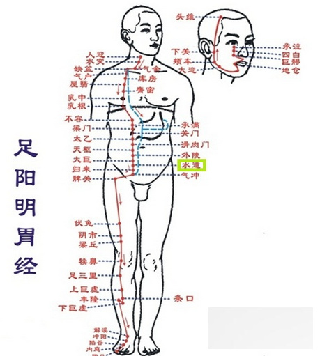 十四经络的保健功效 大肠经改善调理便秘