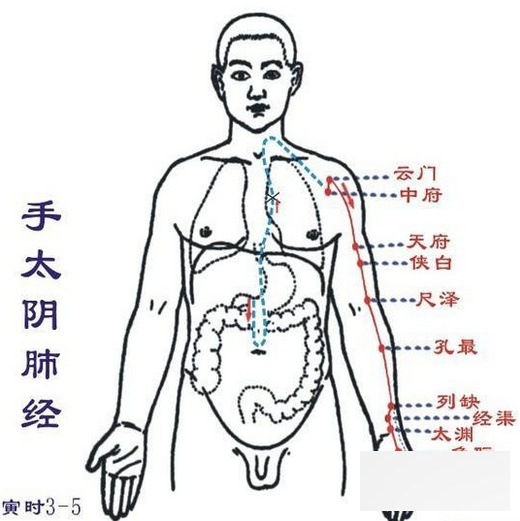 经络功效与保健方法 三焦经让你免疫力提高