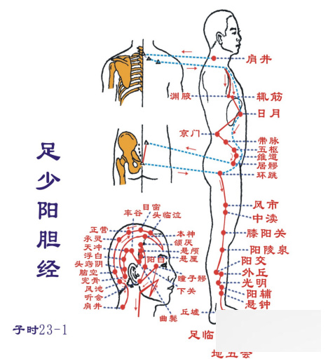 如何调养女人气血 中医教你12经络补气血