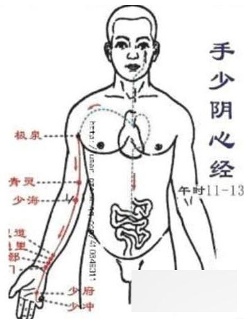 春季如何排毒更有效 推荐五个穴位经络调理