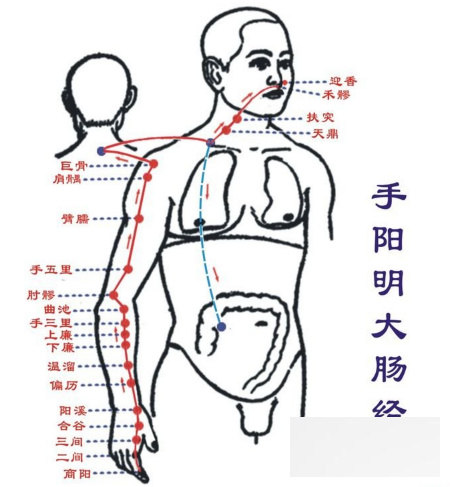 春季如何排毒更有效 推荐五个穴位经络调理