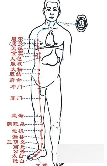 针灸美容调节气血延缓衰老