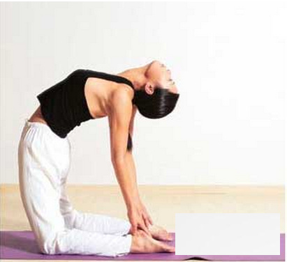 教你练习脊椎瑜伽 超有效预防脊椎病