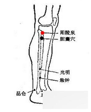 按摩穴位治六种疾病 点压至阳穴缓解心绞痛