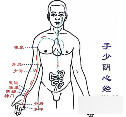 中医<a href=http://www.duomehao.com target=_blank class=infotextkey>养生</a>常识 按摩这些穴位养好五脏