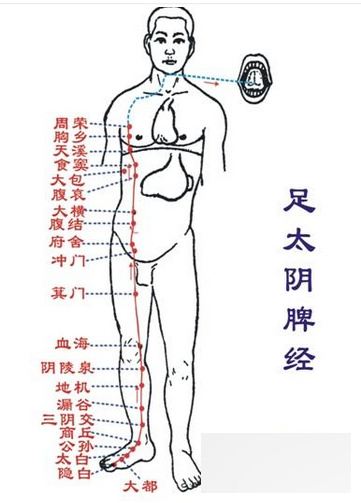 中医<a href=http://www.duomehao.com target=_blank class=infotextkey>养生</a>常识 按摩这些穴位养好五脏