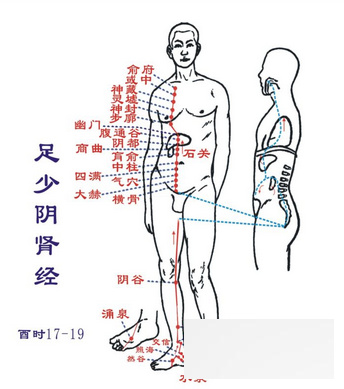 中医<a href=http://www.duomehao.com target=_blank class=infotextkey>养生</a>常识 按摩这些穴位养好五脏