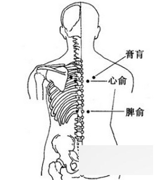 按摩六穴位预防过敏 足三里缓解过敏性鼻炎