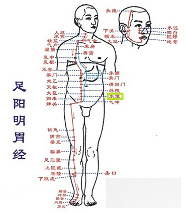 春季养脾胃按摩七穴位 天枢穴治胃胀