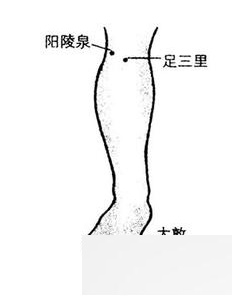 不得不知的十个急救穴位 心绞痛按压至阳穴