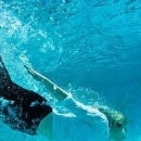 游泳跳水小心脊椎损伤