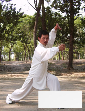 太极<a href=http://www.duomehao.com target=_blank class=infotextkey>养生</a> 详解武当太极拳13式动作要领