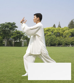 太极拳<a href=http://www.duomehao.com target=_blank class=infotextkey>养生</a> 杨氏太极拳42式详解