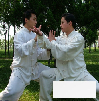 太极拳<a href=http://www.duomehao.com target=_blank class=infotextkey>养生</a> 潮人必学的太极拳招式