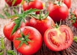 西红柿吃对时间补肾效果竟翻倍