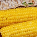 玉米营养价值高 盘点玉米的养生疗效