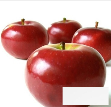 苹果营养价值高 你不得不吃苹果的理由