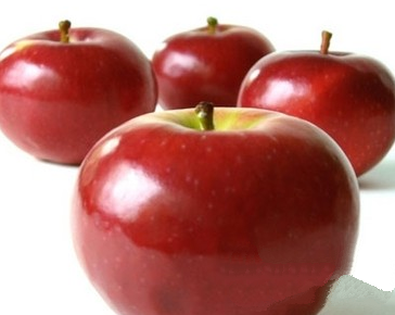 十种最常见有毒食物 番茄樱桃苹果蘑菇
