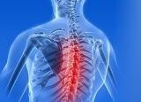 腰背酸痛是什么原因 腰酸背痛的罪魁祸首竟是它