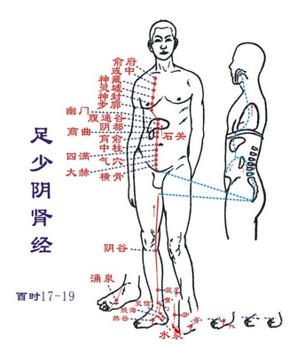 按摩五个经络养五脏 肝经主治脾虚泄泻