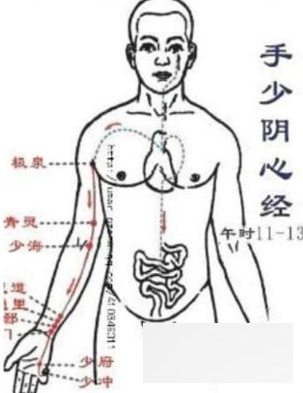 经络功效与保健方法 三焦经让你免疫力提高