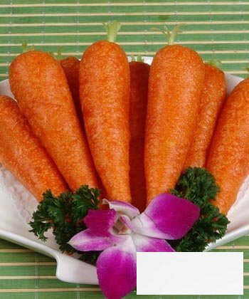 多吃11种食物青春常驻 胡萝卜防止皮肤老化
